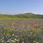 Casavecchia Farmház *