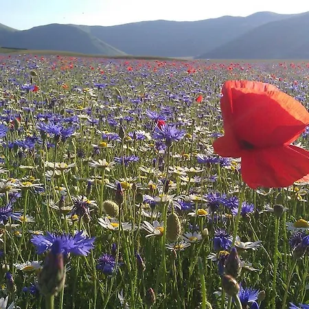 Casavecchia ファームステイ Abetito