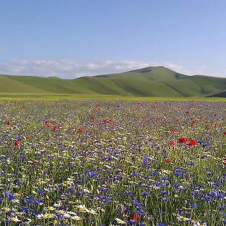 Casavecchia ファームステイ *