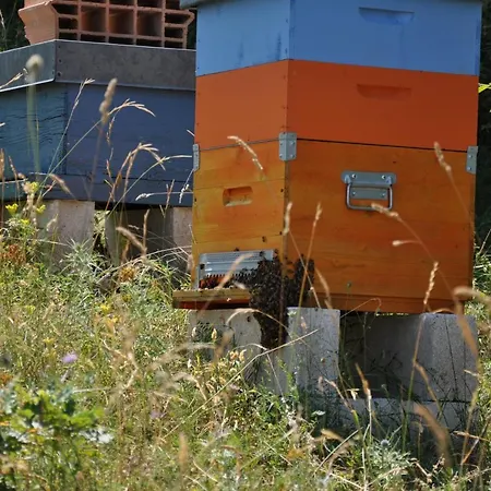 ファームステイ Casavecchia Abetito